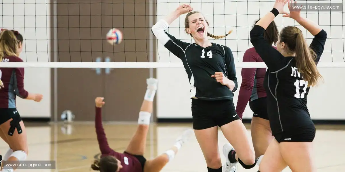 赛事调整能力不断增强